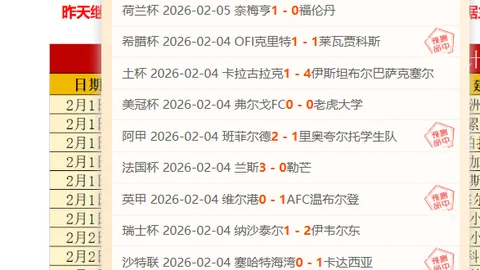 水晶宫对埃梅里战术信心满满，期待进球突破对手