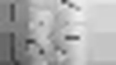 生化危机9安魂曲：里昂侧睡习惯